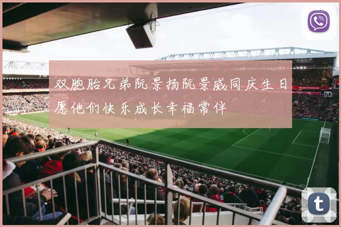 双胞胎兄弟阮景扬阮景威同庆生日愿他们快乐成长幸福常伴