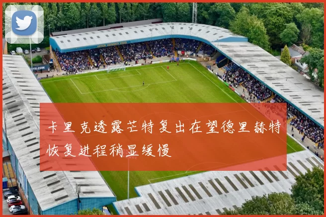 卡里克透露芒特复出在望德里赫特恢复进程稍显缓慢