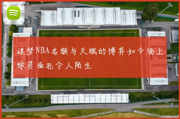 追梦NBA名额与天赋的博弈如今场上球员面孔令人陌生